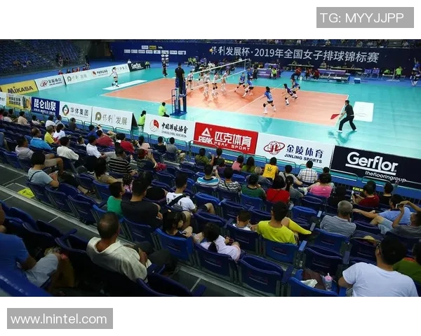 南京排球队战术揭秘：从训练到比赛的全景分析与深度剖析