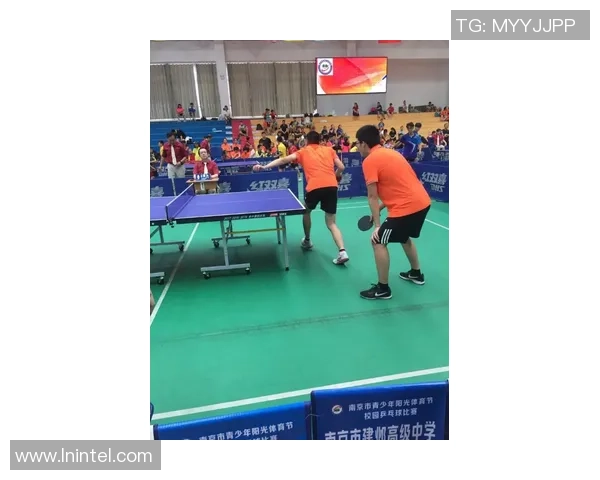 南京羽毛球队意识对比深度解析与发展潜力探讨