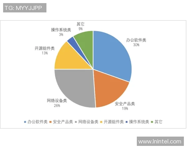 南京飞盘队战术解析与实战应用的深度探讨与思考