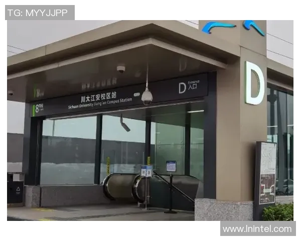 成都飞盘队的运营揭秘与发展探索深度解析 成都飞盘队的运营揭秘与发展探索深度解析