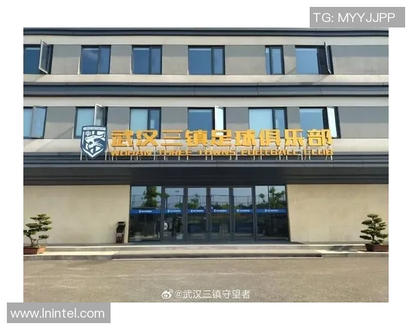 武汉网球队灵活性引发热议球迷与专家各执己见探讨争议背后的真相