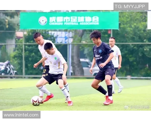 飞盘热潮席卷成都聚焦成都飞盘队的速度与激情 飞盘热潮席卷成都聚焦成都飞盘队的速度与激情