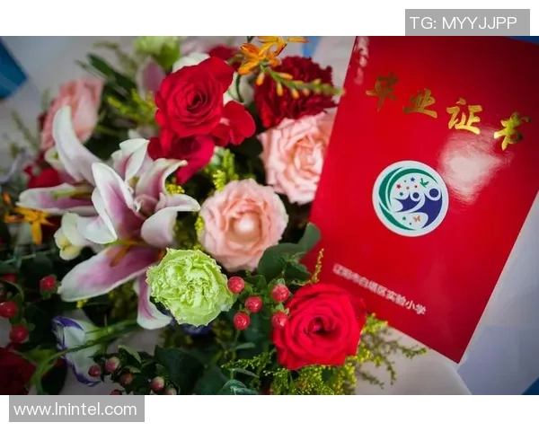 与黄军畅谈飞盘生涯的点滴与成长之路